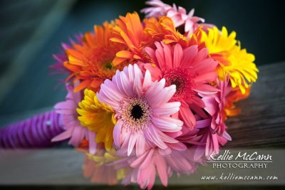 gerbera-daisies-bouquet-2