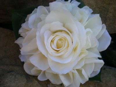 white rose bouquet bridesmaid. Also known as a Malmaison rose
